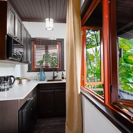 Serendipity Holistic Resort Spa 金斯敦 外观 照片