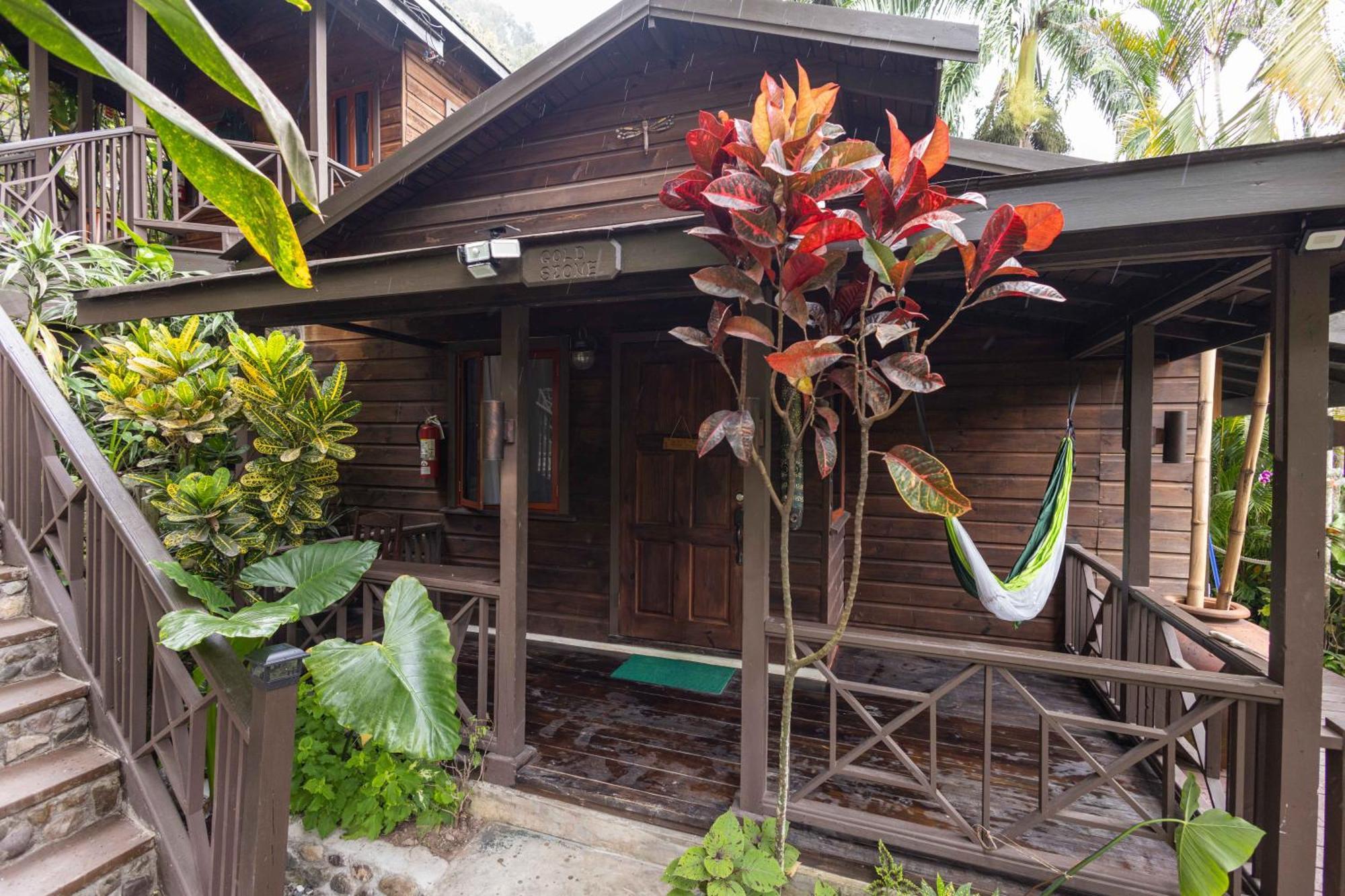 Serendipity Holistic Resort Spa 金斯敦 外观 照片