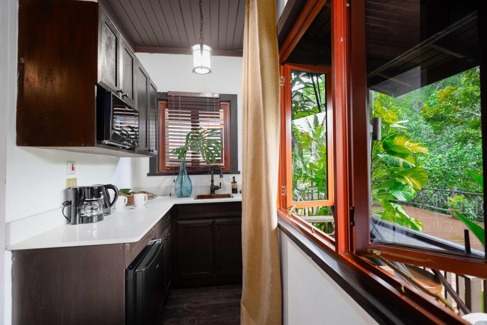 Serendipity Holistic Resort Spa 金斯敦 外观 照片