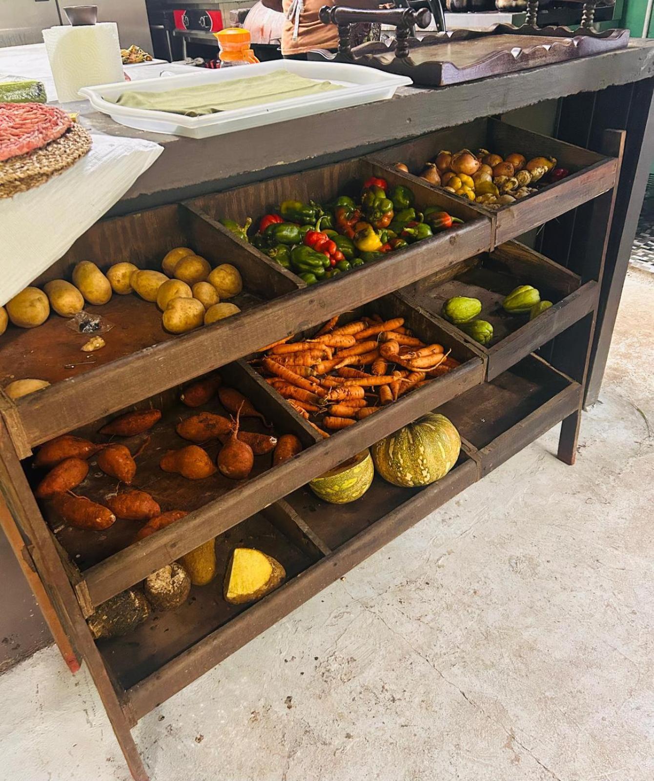 Serendipity Holistic Resort Spa 金斯敦 外观 照片