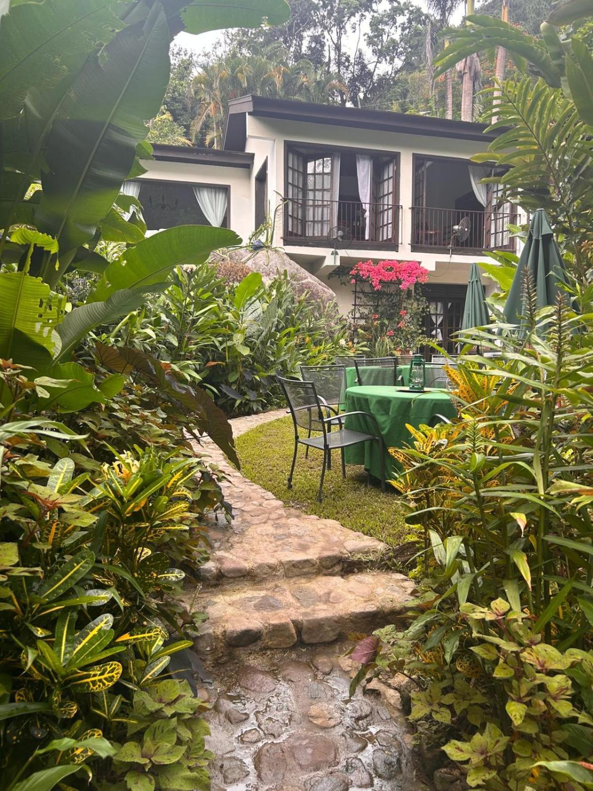 Serendipity Holistic Resort Spa 金斯敦 外观 照片