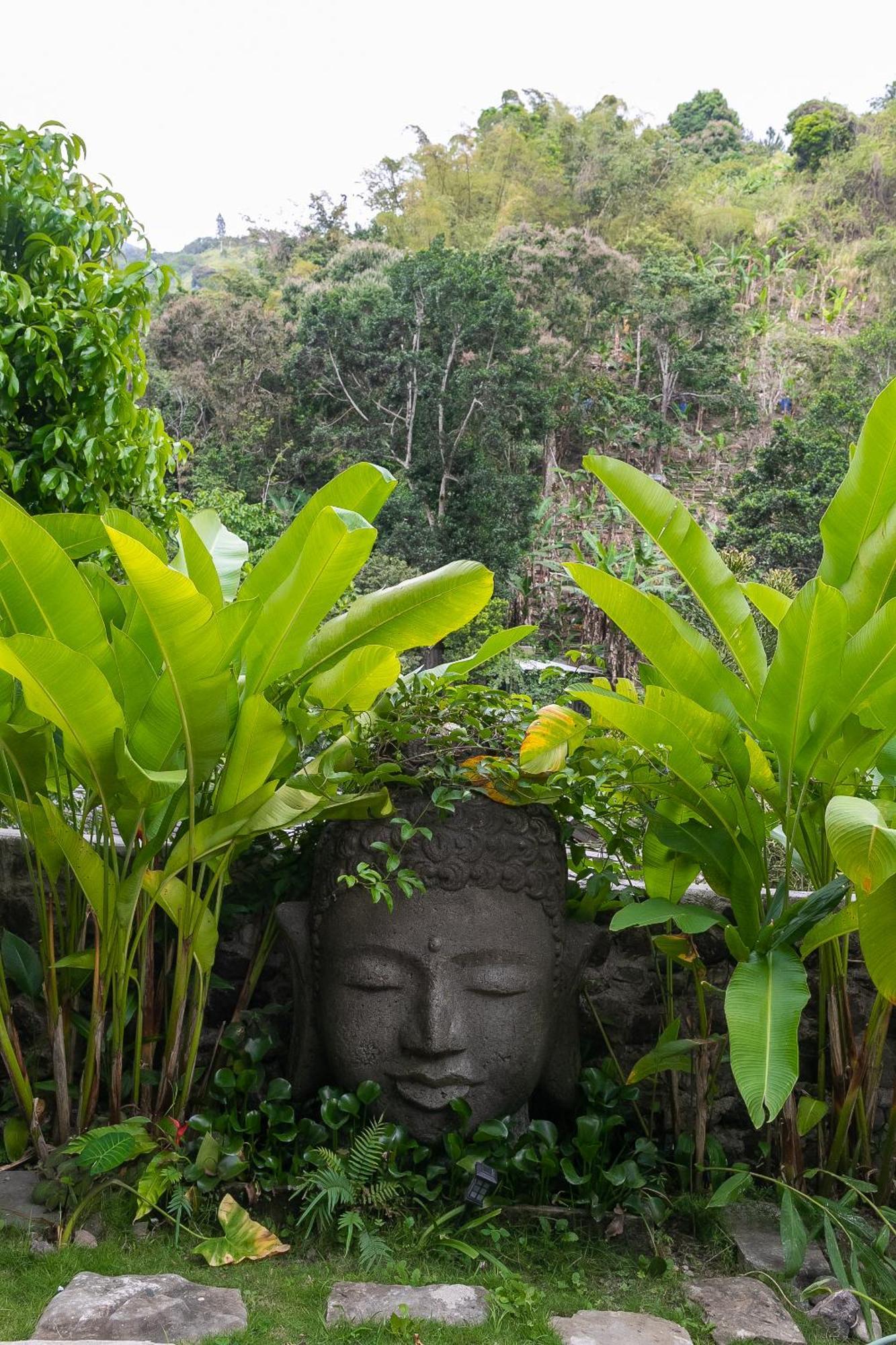 Serendipity Holistic Resort Spa 金斯敦 外观 照片