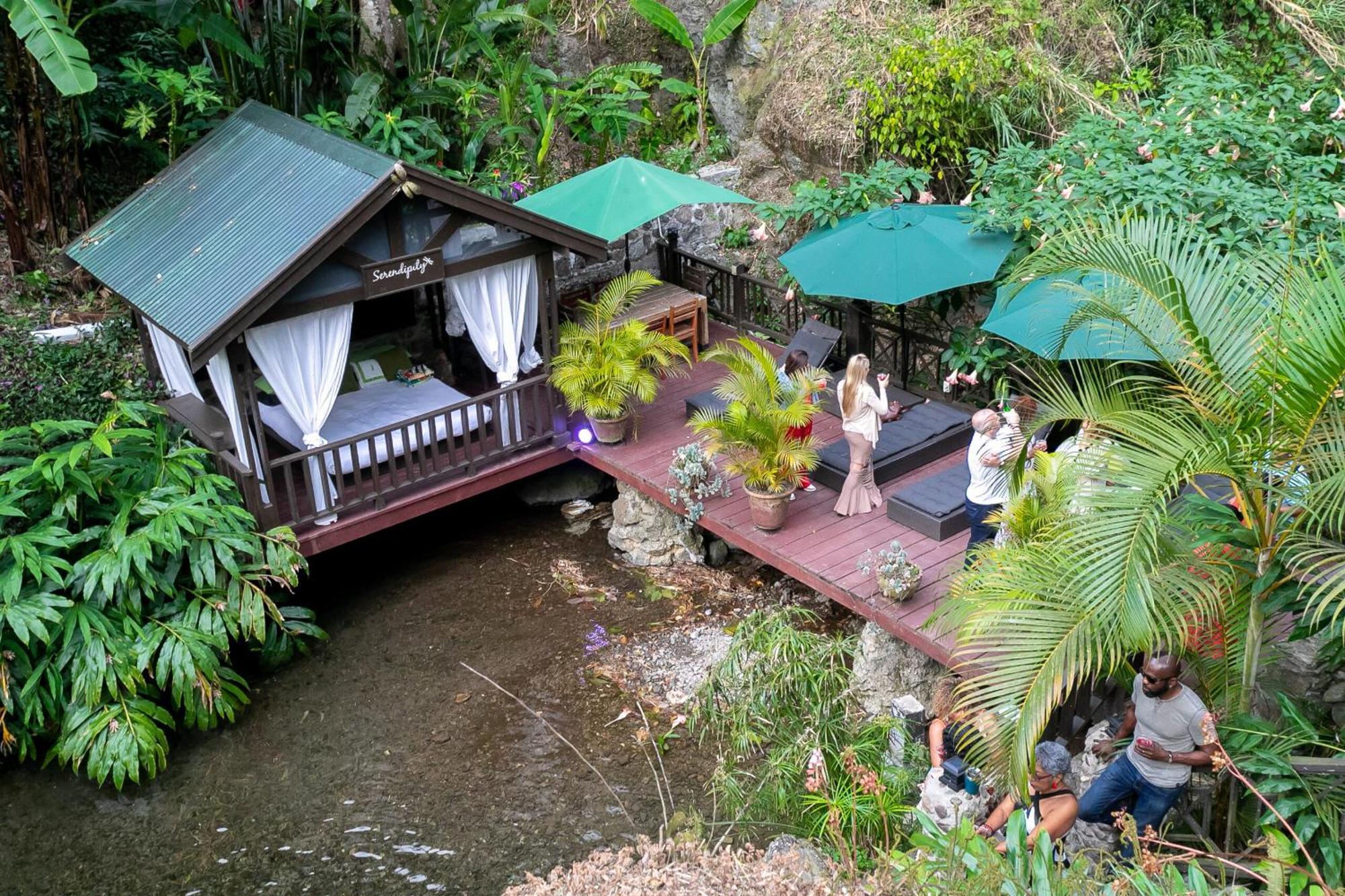 Serendipity Holistic Resort Spa 金斯敦 外观 照片